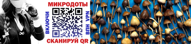 Галлюциногенные грибы MAGIC MUSHROOMS  Муром 